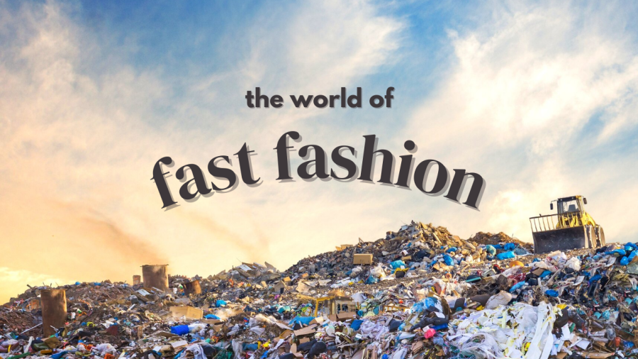 Look at Sustainable Brand like Great Mills Collective and the Environmental Impact of Fast Fashion Giants Zara and H&M