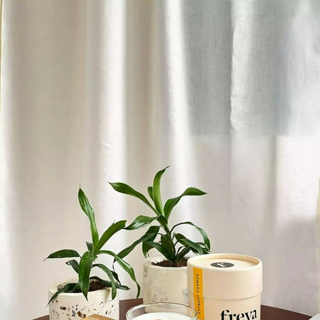 Citrusy Cosmos Glass Jar Candle