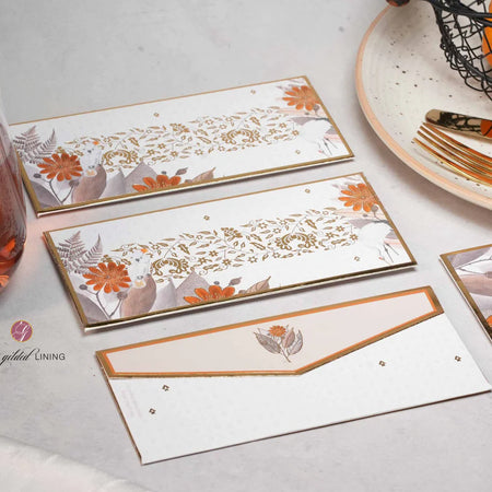 Bikaner Money Envelopes