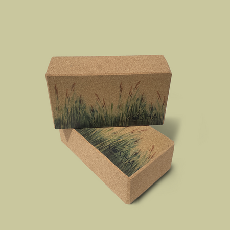 Yoga Brick : Cork yoga block set of two / Savannah