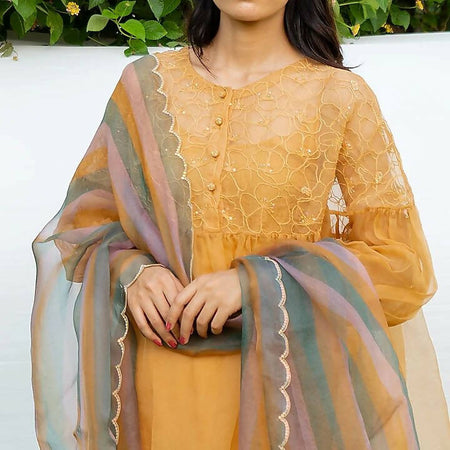 Multi-Coloured Embroidered Dupatta