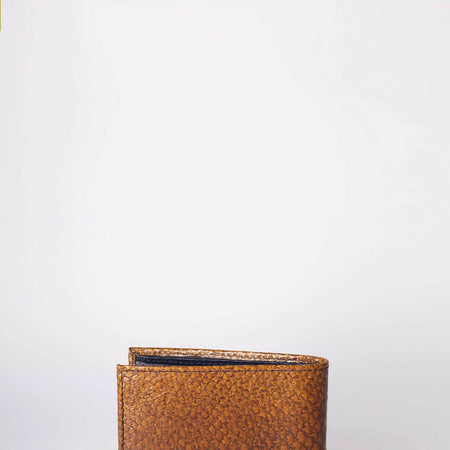 P1kxWUkLlY3uLVpgDa5d9wEh4mjkGqgnIrRVA38W